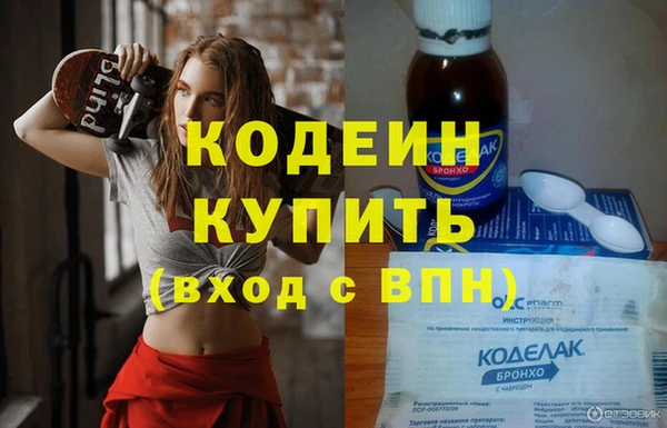 дживик Краснослободск