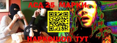 индика Абакан
