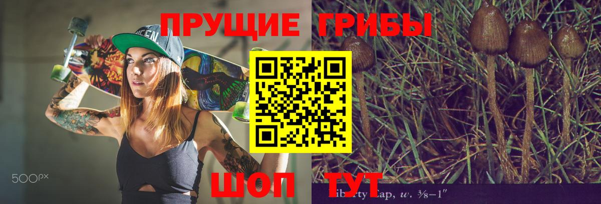 Галлюциногенные грибы MAGIC MUSHROOMS  Вход с VPN  Мичуринск 